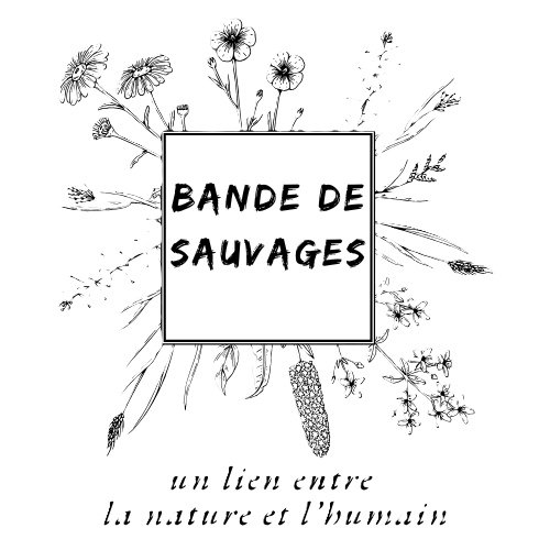 Bande de Sauvages